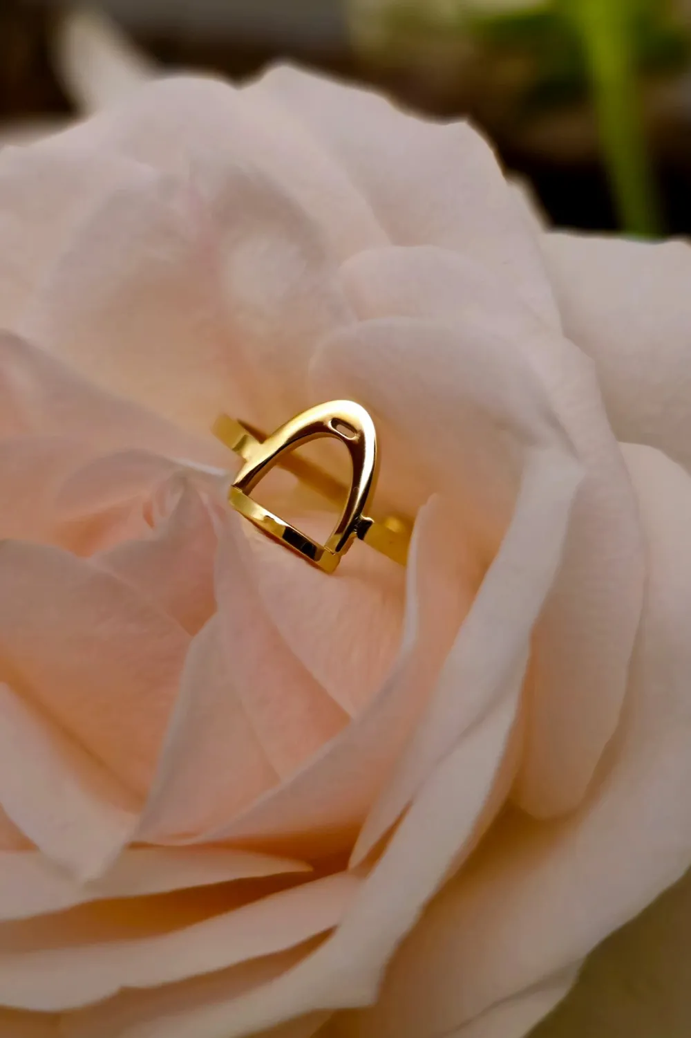 Odelberg Jewelry Örhängen & Armband-Ring Stigbygel Guld