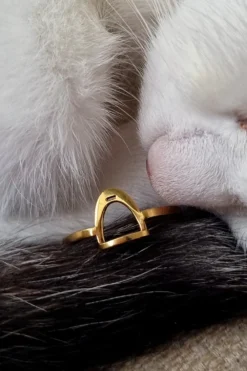 Odelberg Jewelry Örhängen & Armband-Ring Stigbygel Guld