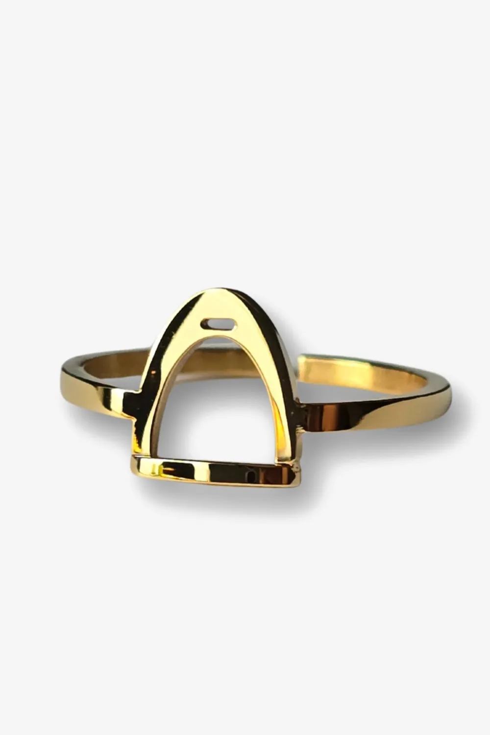 Odelberg Jewelry Örhängen & Armband-Ring Stigbygel Guld