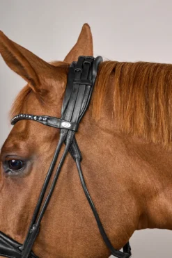 Dyón Dyón|Träns & Pannband-Rundsytt Träns Stor Nosgrimma Soft Läder Svart