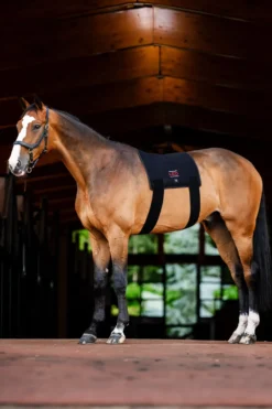 Horseware Hästtäcken & Flughuvor|Horseware-Ryggplatta Infraröd LED Svart