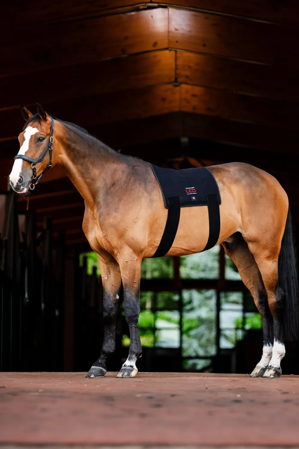 Horseware Hästtäcken & Flughuvor|Horseware-Ryggplatta Infraröd LED Svart