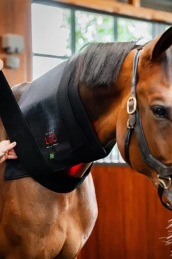 Horseware Hästtäcken & Flughuvor|Horseware-Ryggplatta Infraröd LED Svart