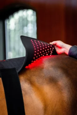 Horseware Hästtäcken & Flughuvor|Horseware-Ryggplatta Infraröd LED Svart