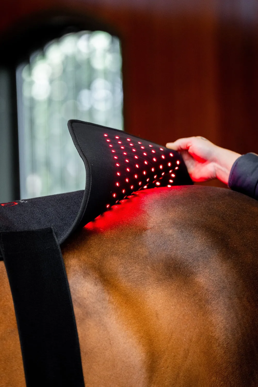 Horseware Hästtäcken & Flughuvor|Horseware-Ryggplatta Infraröd LED Svart