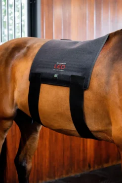 Horseware Hästtäcken & Flughuvor|Horseware-Ryggplatta Infraröd LED Svart