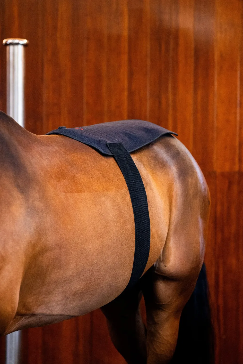 Horseware Hästtäcken & Flughuvor|Horseware-Ryggplatta Infraröd LED Svart