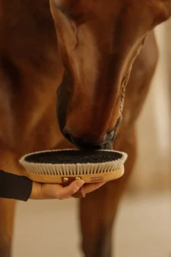 Grooming Deluxe Grooming Deluxe|Ryktväskor & Ryktborstar-Ryktborste Glans