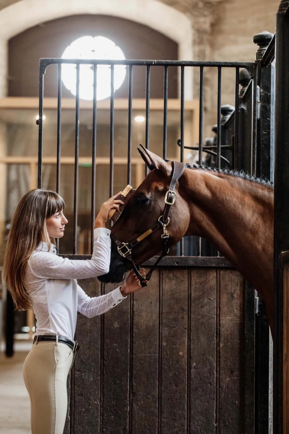 Grooming Deluxe Grooming Deluxe|Ryktväskor & Ryktborstar-Ryktborste Mjuk