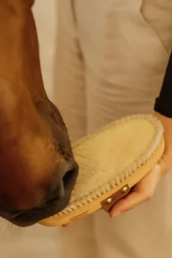 Grooming Deluxe Grooming Deluxe|Ryktväskor & Ryktborstar-Ryktborste Soft Shine