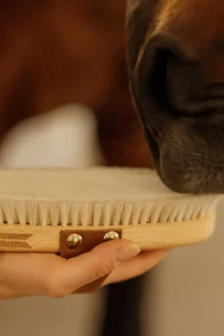 Grooming Deluxe Grooming Deluxe|Ryktväskor & Ryktborstar-Ryktborste Soft Shine