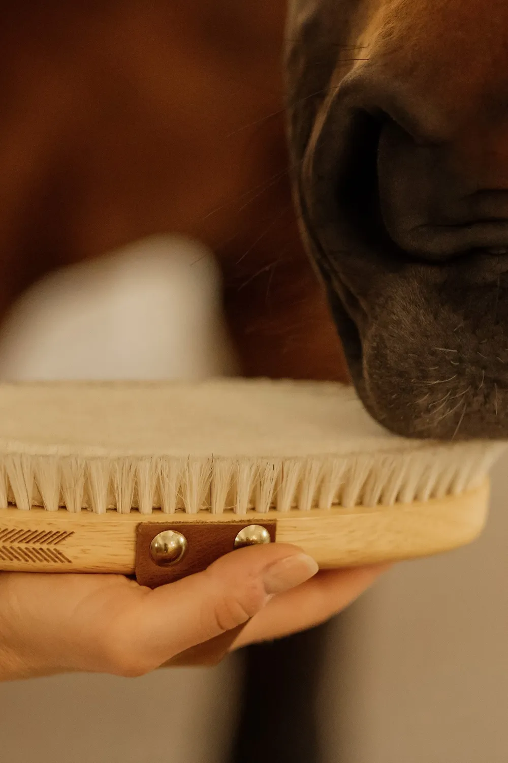 Grooming Deluxe Grooming Deluxe|Ryktväskor & Ryktborstar-Ryktborste Soft Shine
