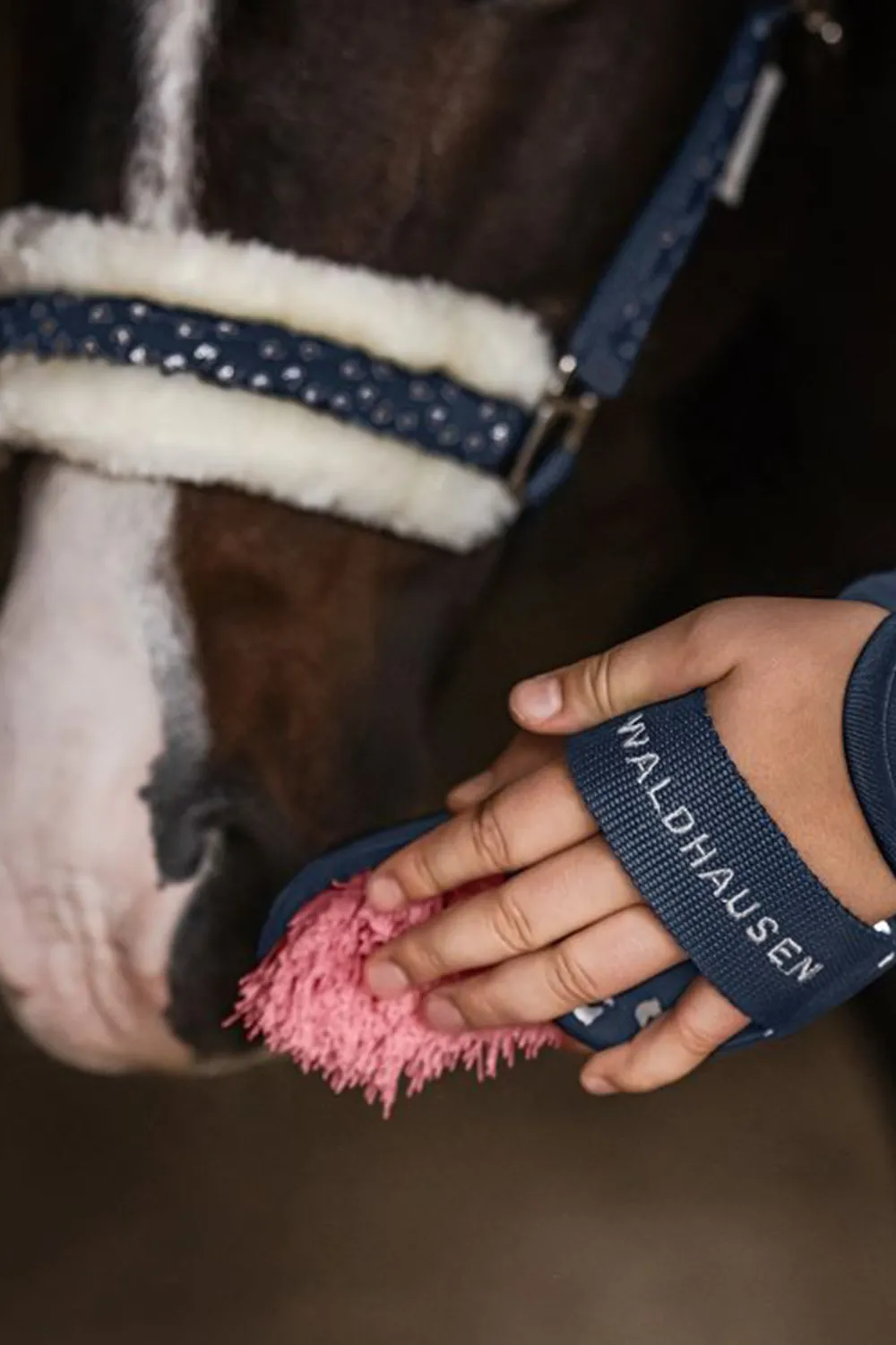 Waldhausen Ryktväskor & Ryktborstar-Ryktskrapa Lucky