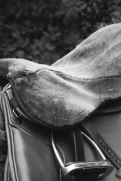 Shires Shires|Sadlar & Sadelpaddar-Sadelludd Supafleece