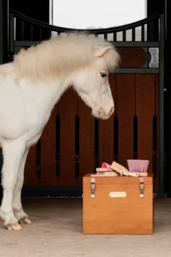 Grooming Deluxe Grooming Deluxe|Ryktväskor & Ryktborstar-Sammy Mankborste Enhörning Rosa