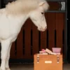 Grooming Deluxe Grooming Deluxe|Ryktväskor & Ryktborstar-Sammy Ryktborste Enhörning Rosa