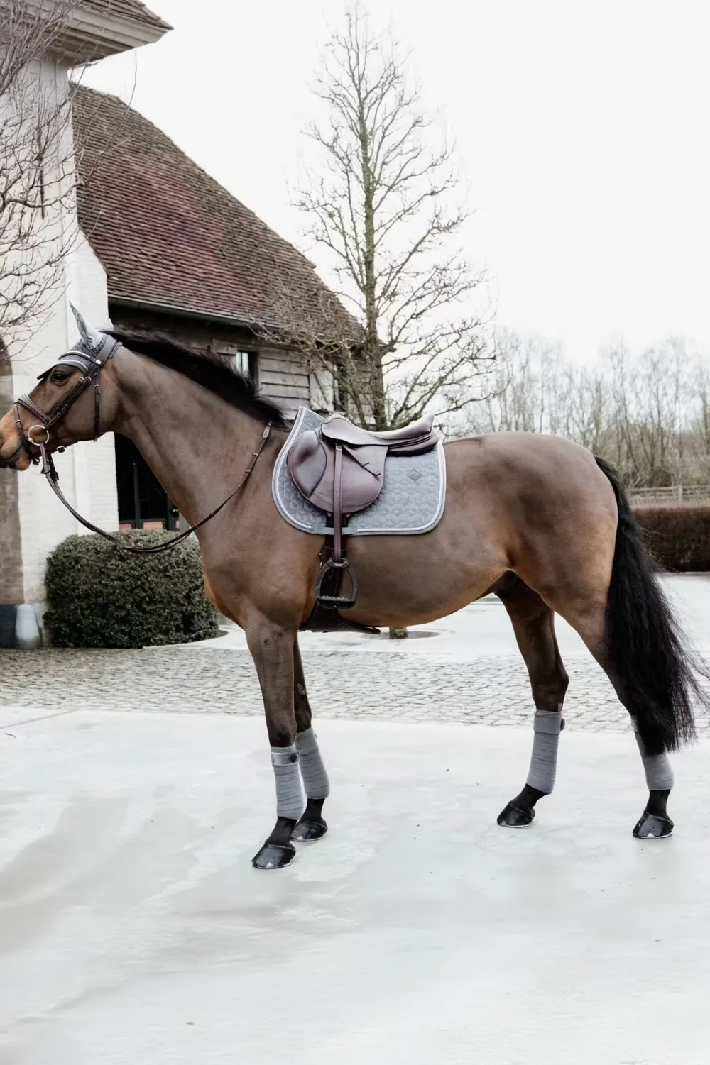 Kentucky Horsewear Schabrak & Huvor-Schabrak Basic Velvet Grå