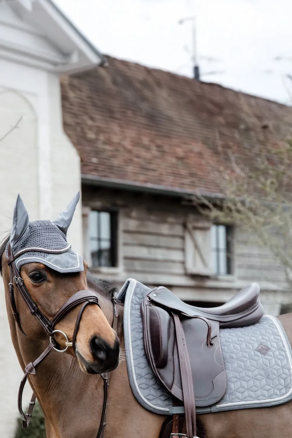 Kentucky Horsewear Schabrak & Huvor-Schabrak Basic Velvet Grå