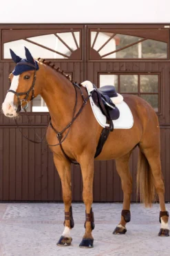 LeMieux Lemieux-Schabrak Classic Hopp