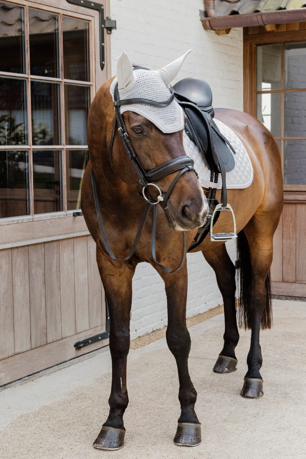 Kentucky Horsewear Kentucky Horsewear|Schabrak & Huvor-Schabrak Diamond Rope Grå