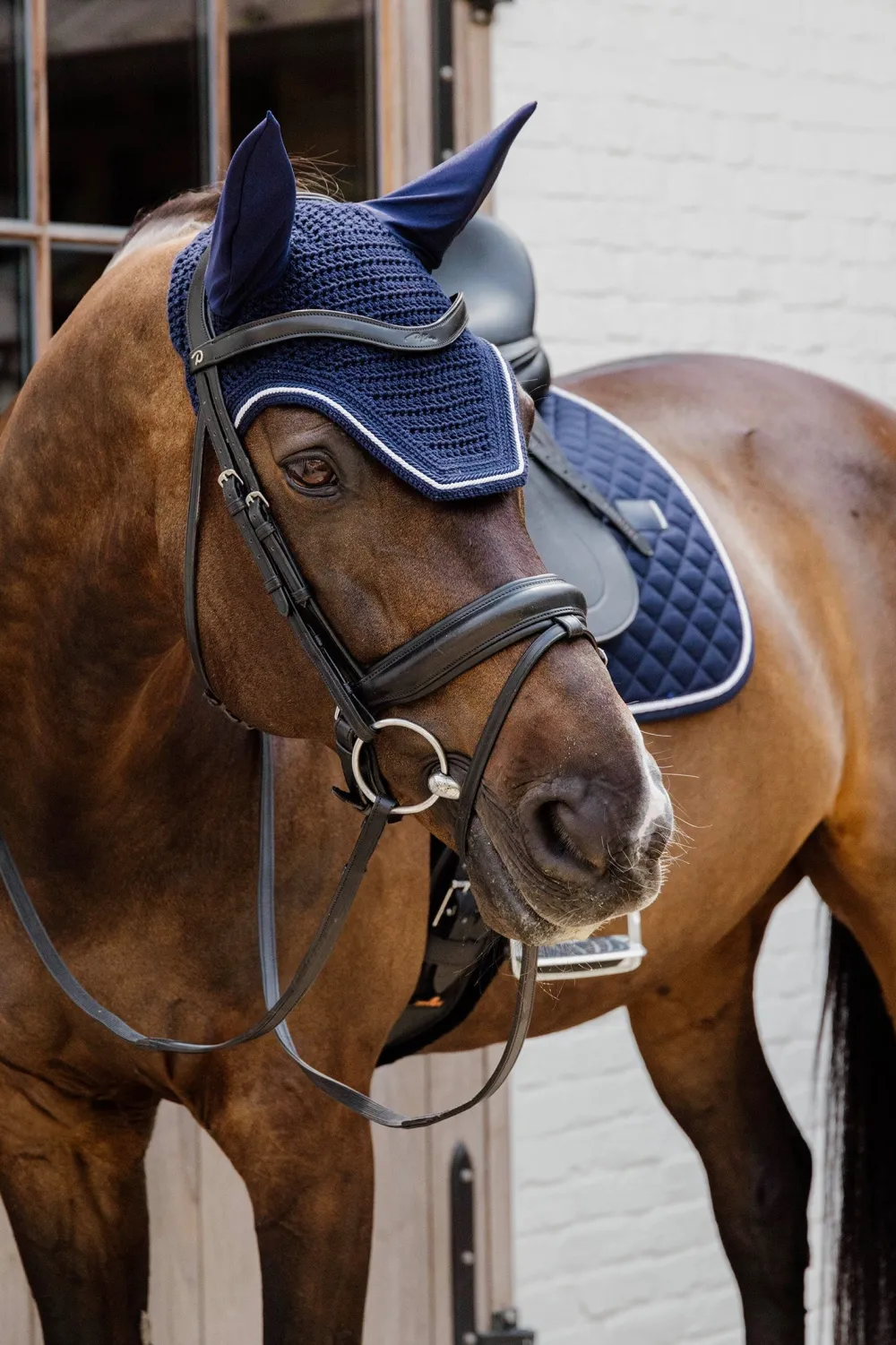 Kentucky Horsewear Kentucky Horsewear|Schabrak & Huvor-Schabrak Diamond Rope Navy