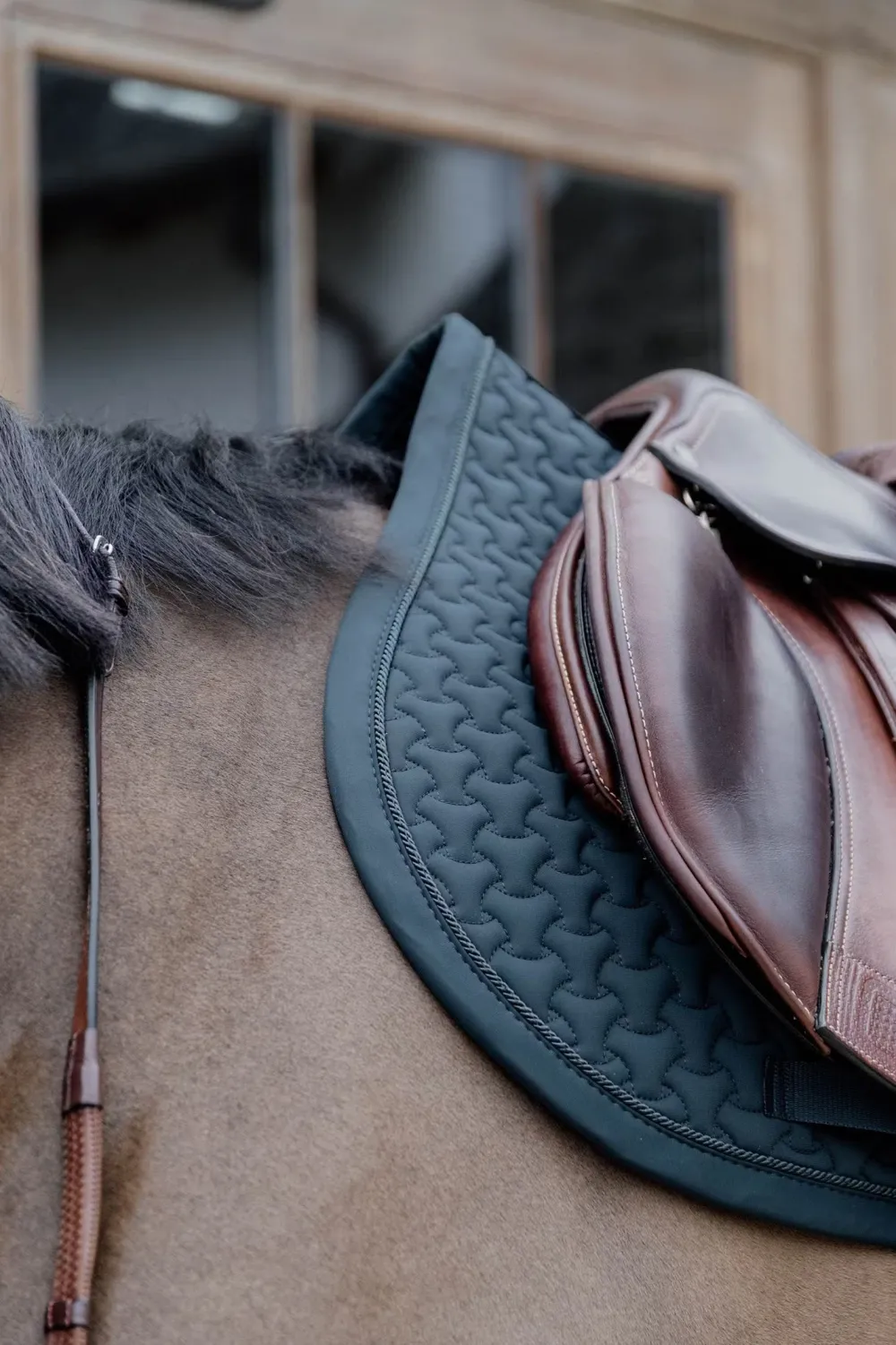 Kentucky Horsewear Kentucky Horsewear|Schabrak & Huvor-Schabrak 3D Logo Pine Green
