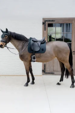 Kentucky Horsewear Kentucky Horsewear|Schabrak & Huvor-Schabrak 3D Logo Pine Green