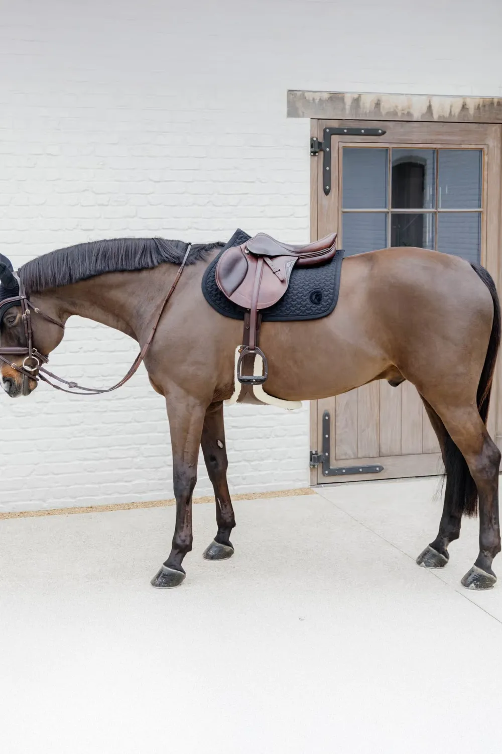 Kentucky Horsewear Kentucky Horsewear|Schabrak & Huvor-Schabrak 3D Logo Svart