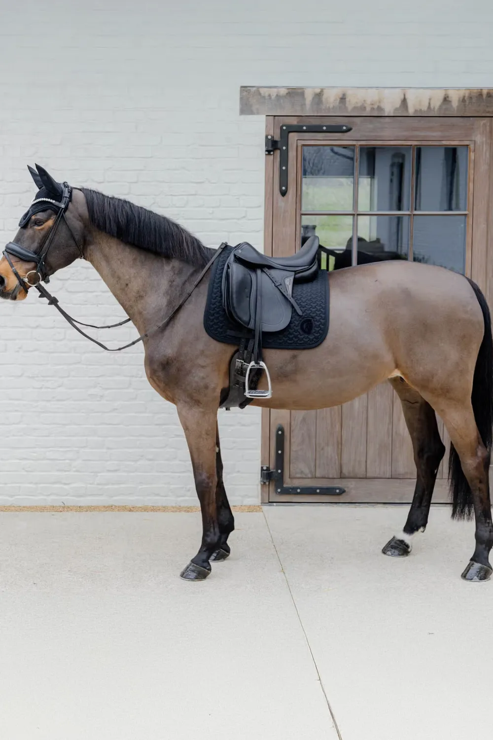 Kentucky Horsewear Kentucky Horsewear|Schabrak & Huvor-Schabrak 3D Logo Svart