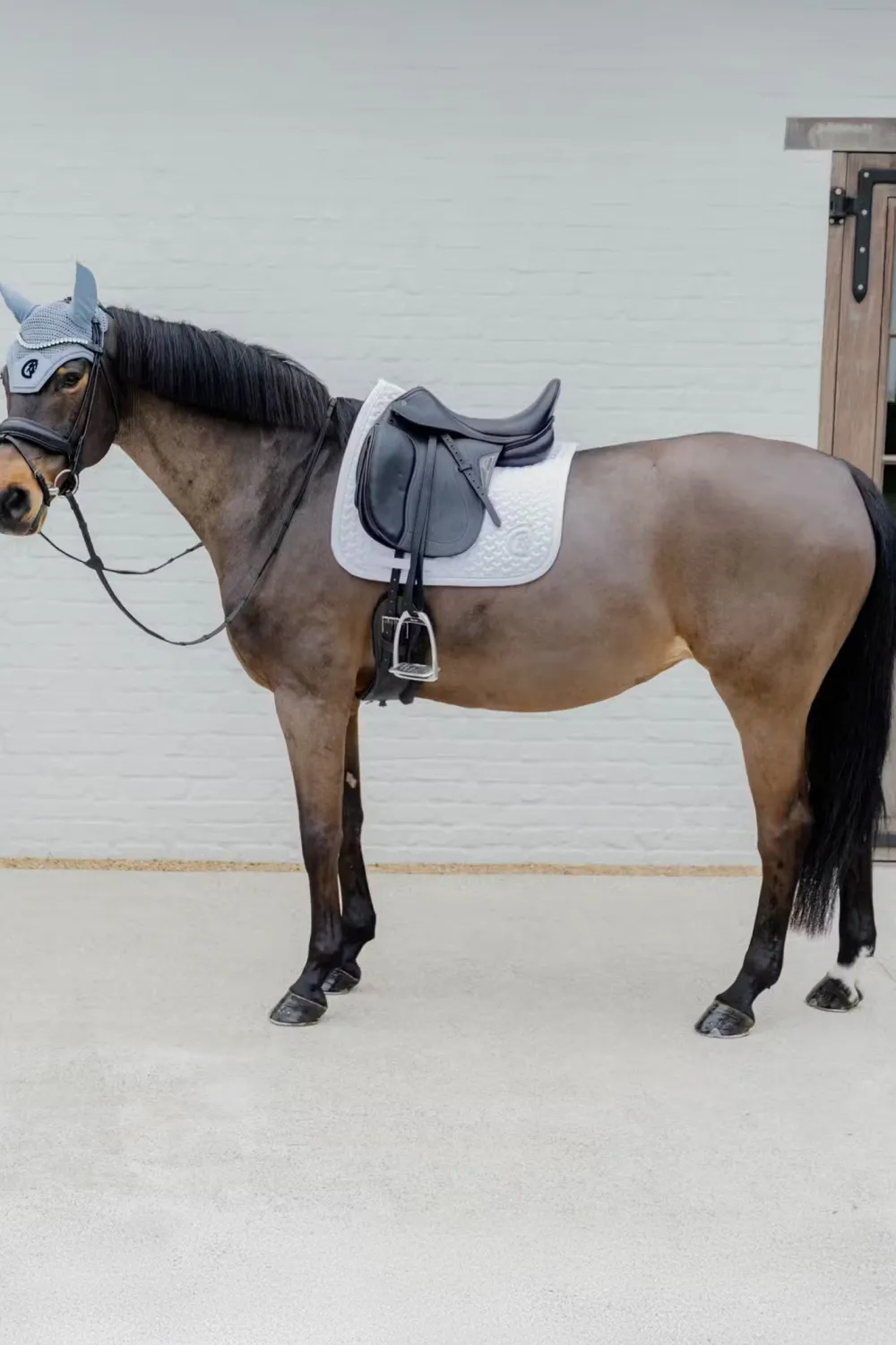 Kentucky Horsewear Kentucky Horsewear|Schabrak & Huvor-Schabrak 3D Logo Vit