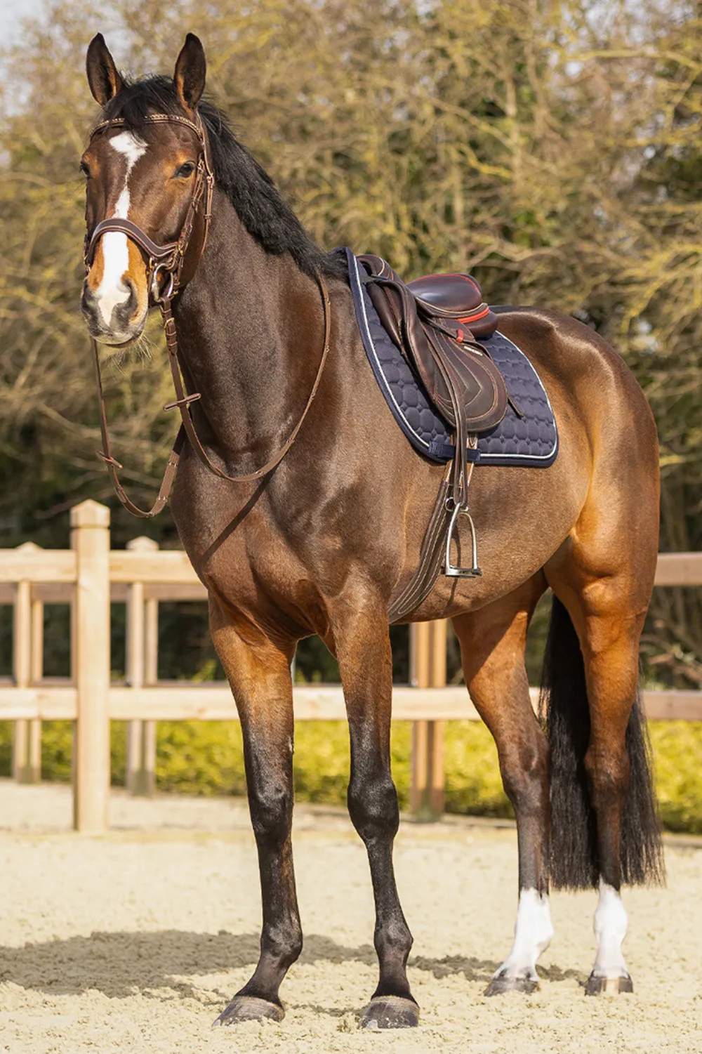QHP Qhp|Schabrak & Huvor-Schabrak Firenze Navy
