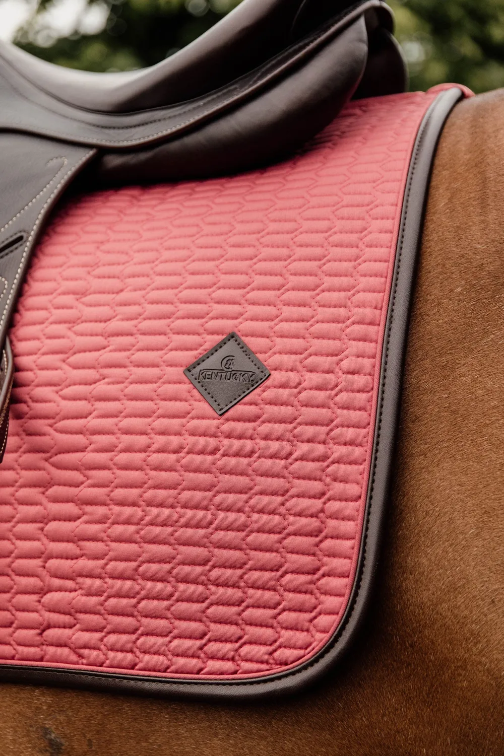 Kentucky Horsewear Schabrak & Huvor-Schabrak Läder