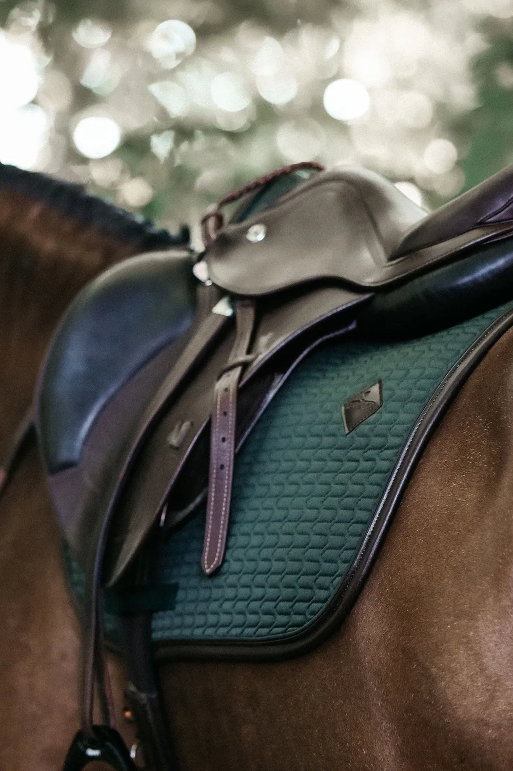 Kentucky Horsewear Schabrak & Huvor-Schabrak Läder
