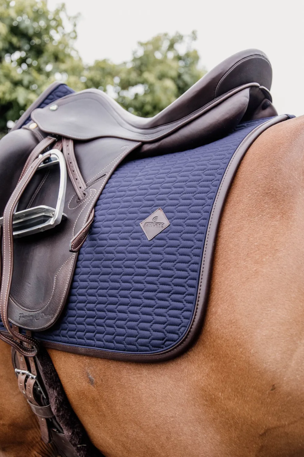 Kentucky Horsewear Kentucky Horsewear|Schabrak & Huvor-Schabrak Läder Navy