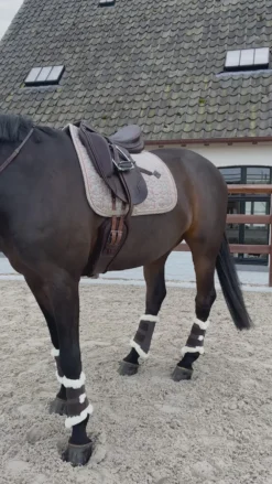 Kentucky Horsewear Schabrak & Huvor-Schabrak Pied-De-Poule Beige