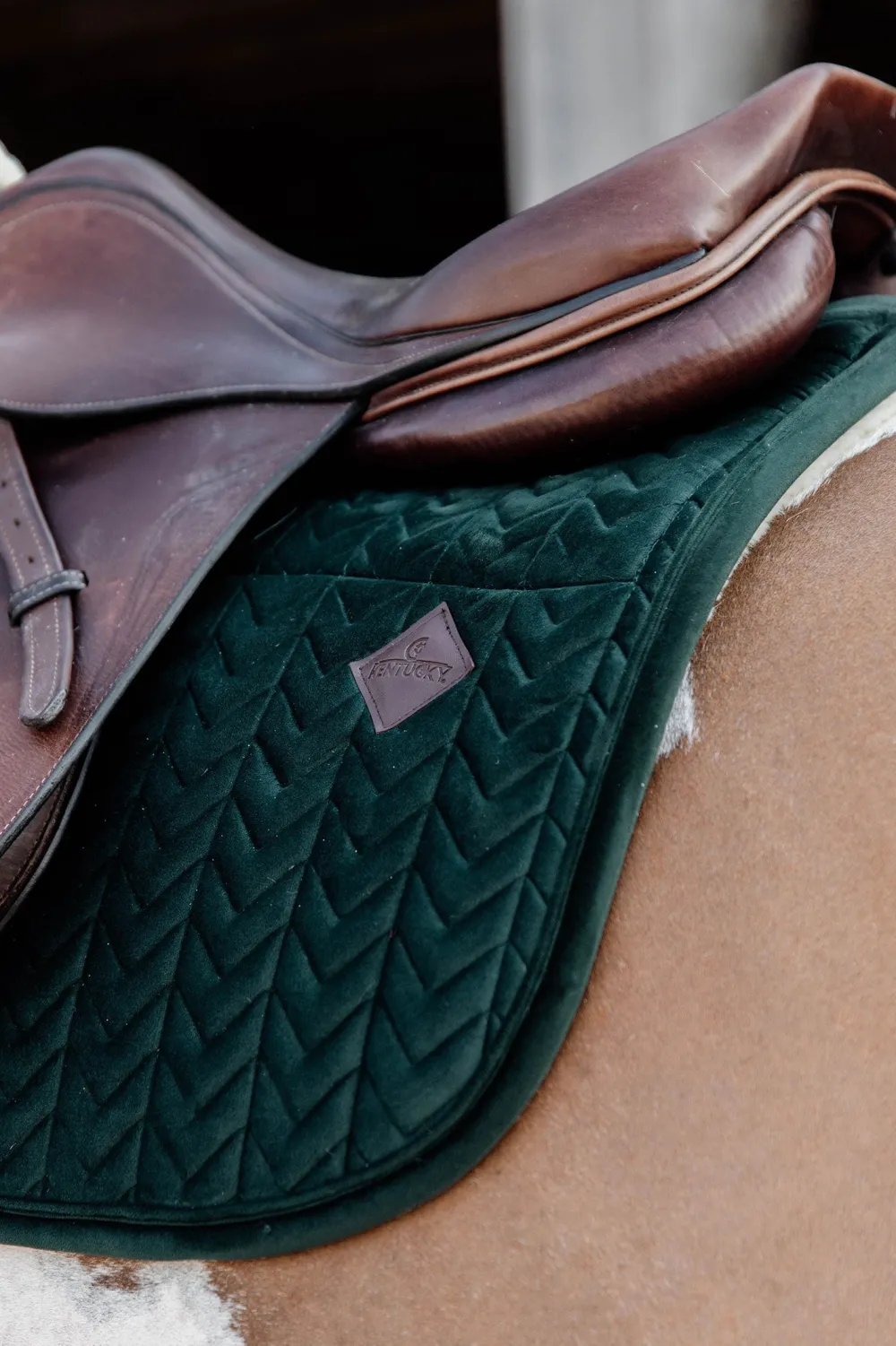 Kentucky Horsewear Schabrak & Huvor-Schabrak Skin Friendly Grön