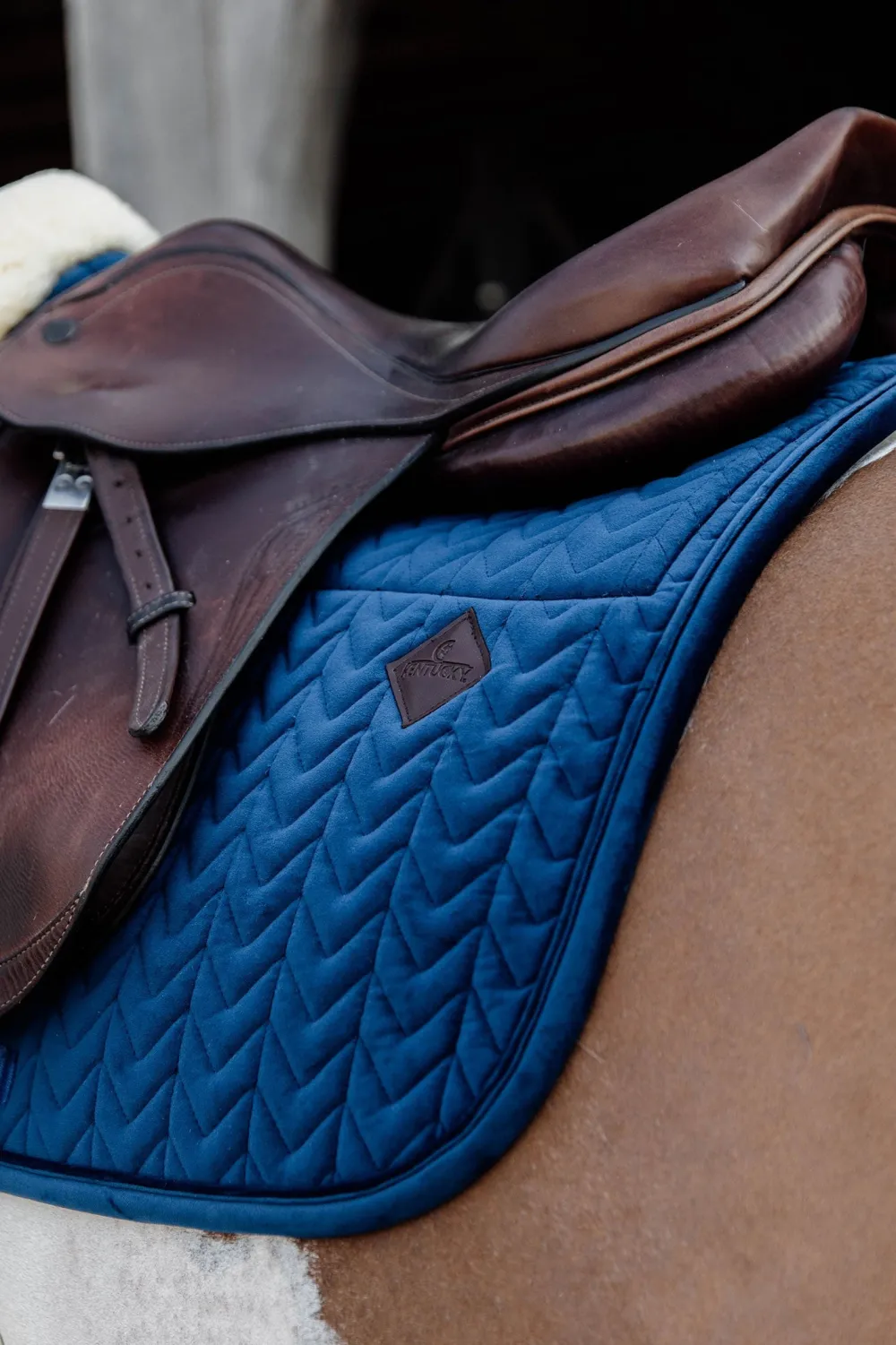 Kentucky Horsewear Kentucky Horsewear|Schabrak & Huvor-Schabrak Skin Friendly Velvet Navy