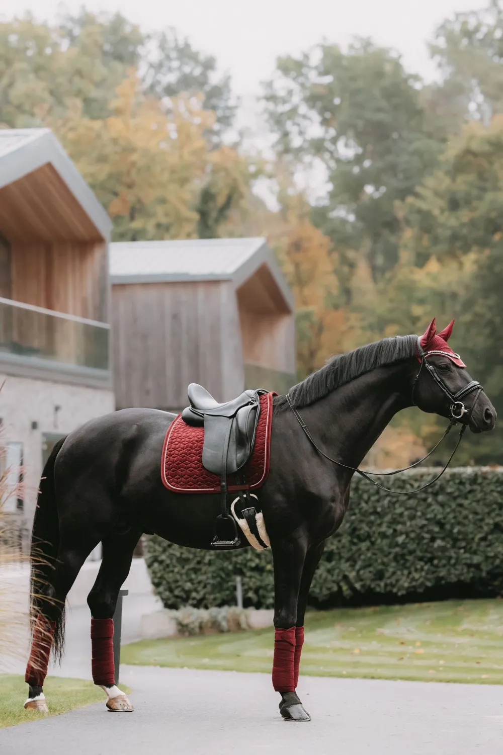 Kentucky Horsewear Kentucky Horsewear|Schabrak & Huvor-Schabrak Velvet Bordeaux