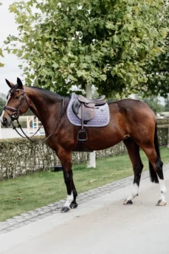 Kentucky Horsewear Kentucky Horsewear|Schabrak & Huvor-Schabrak Velvet Lila