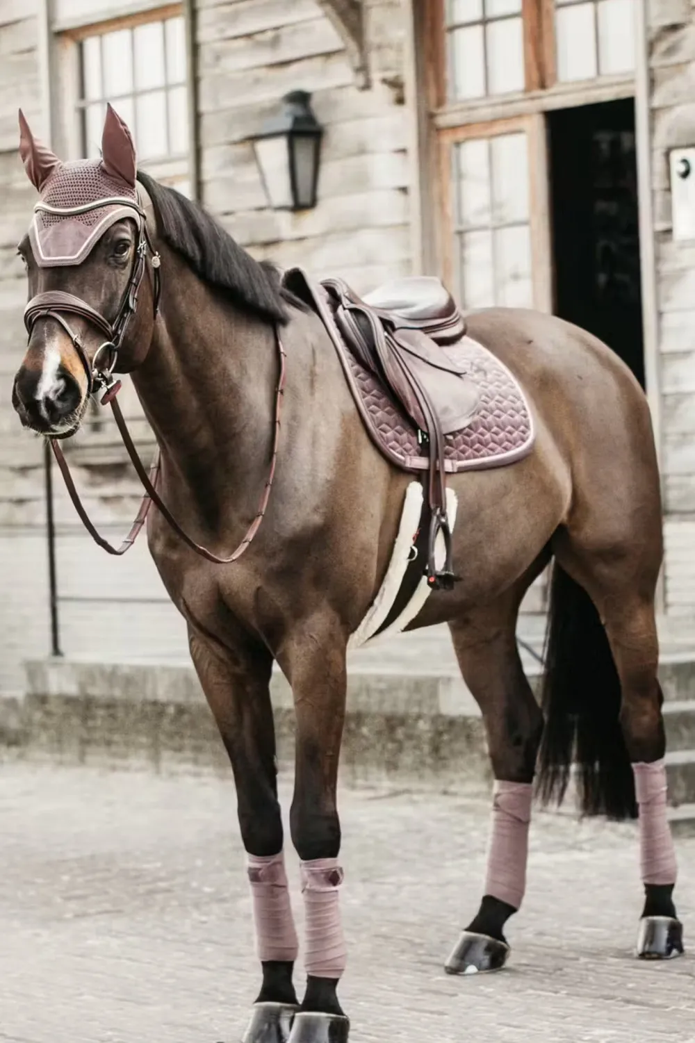 Kentucky Horsewear Schabrak & Huvor-Schabrak Velvet Ljuslila