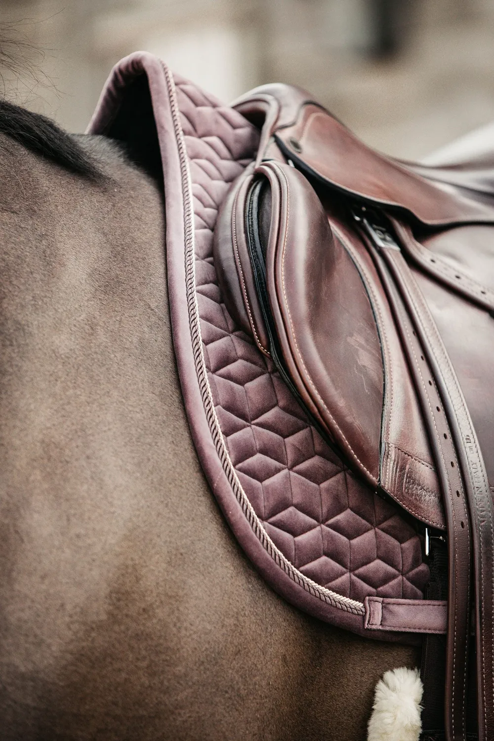 Kentucky Horsewear Schabrak & Huvor-Schabrak Velvet Ljuslila