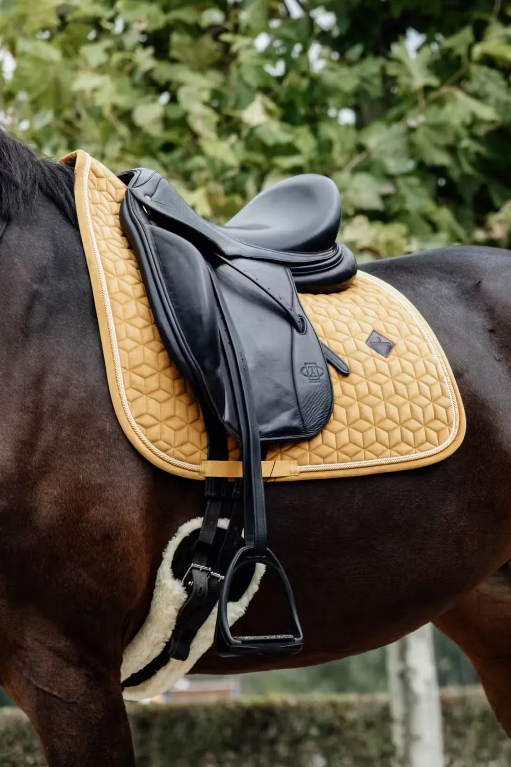 Kentucky Horsewear Kentucky Horsewear|Schabrak & Huvor-Schabrak Velvet Mustard