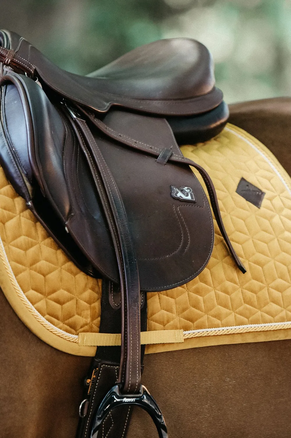 Kentucky Horsewear Kentucky Horsewear|Schabrak & Huvor-Schabrak Velvet Mustard