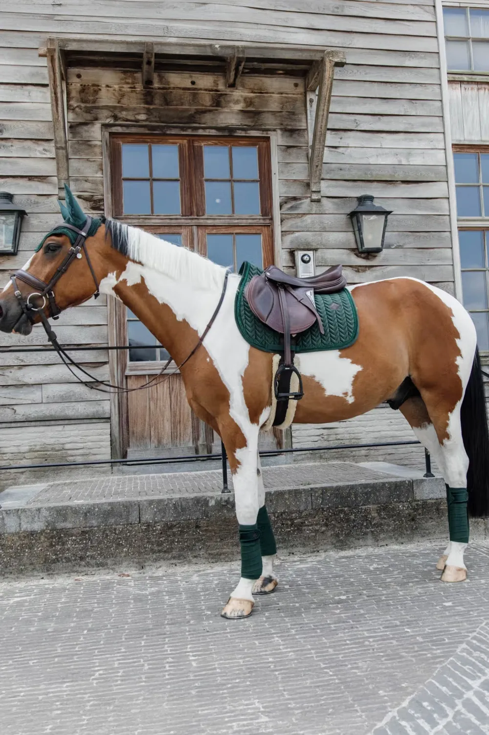 Kentucky Horsewear Kentucky Horsewear|Schabrak & Huvor-Schabrak Velvet Pearls Pine Green