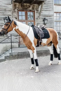 Kentucky Horsewear Kentucky Horsewear|Schabrak & Huvor-Schabrak Velvet Pearls Svart