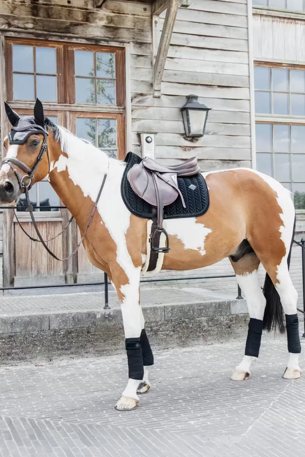 Kentucky Horsewear Kentucky Horsewear|Schabrak & Huvor-Schabrak Velvet Pearls Svart