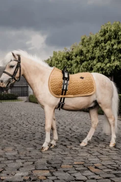 Kentucky Horsewear Schabrak & Huvor-Schabrak Velvet Ponny Mustard