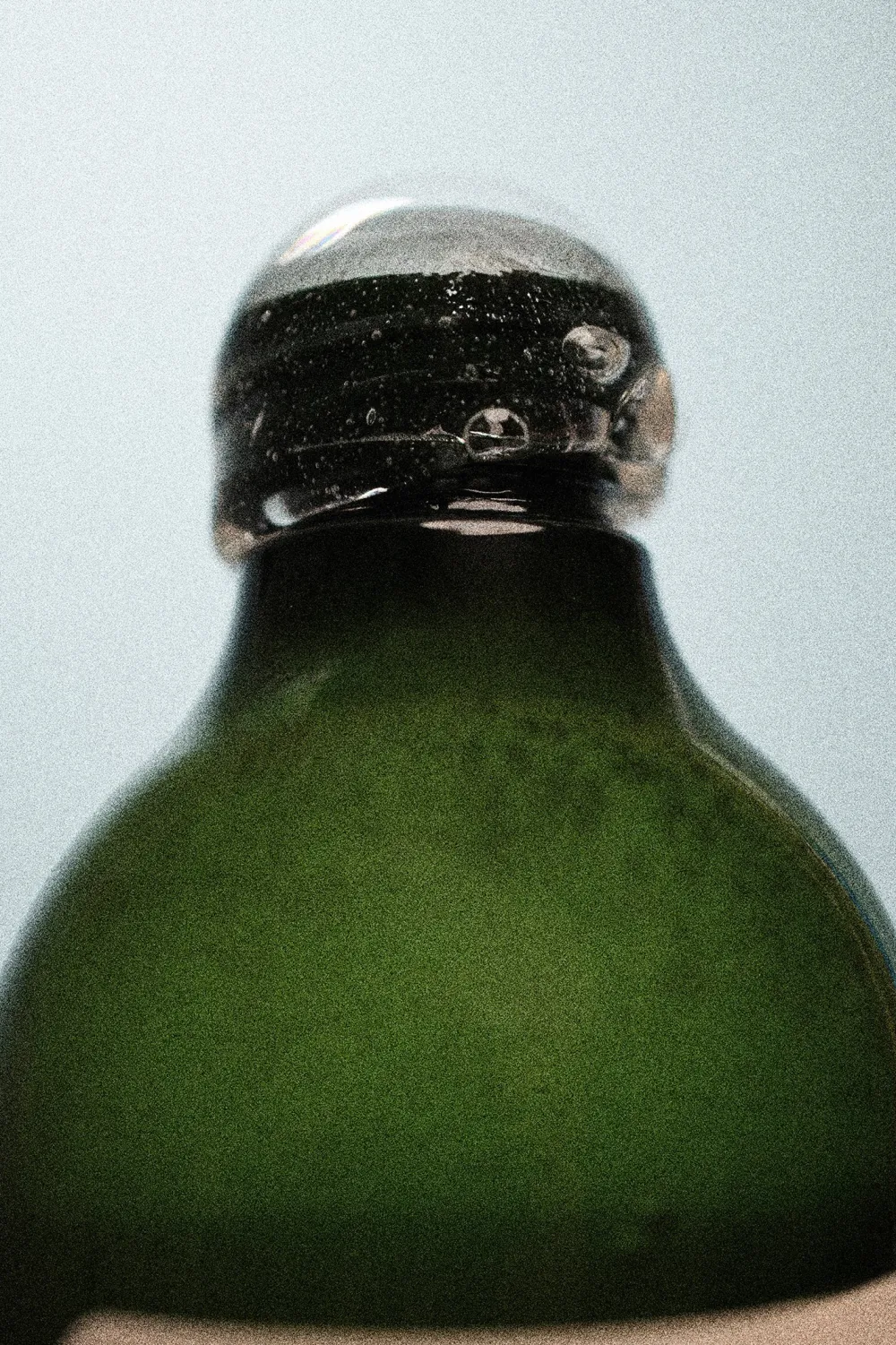 Tagel Horse Care Skötsel & Hästvård|Tagel Horse Care-Schampoo 500ml