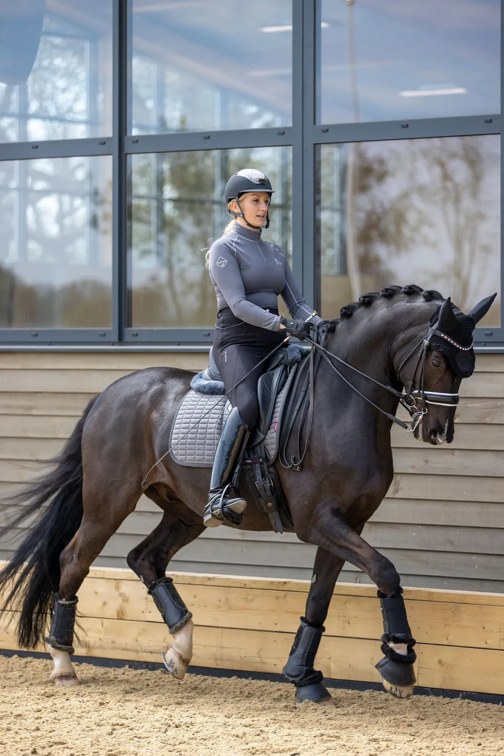 LeMieux Schabrak & Huvor|Lemieux-Sef Coo Dressyrschabrak