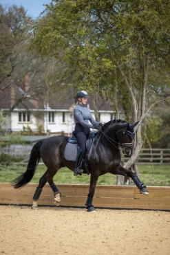 LeMieux Schabrak & Huvor|Lemieux-Sef Coo Dressyrschabrak